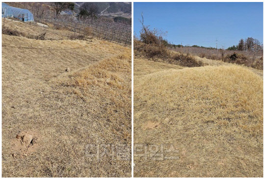 이재명 더불어민주당 대표 부모 묘소 모습. <이재명 대표 SNS>